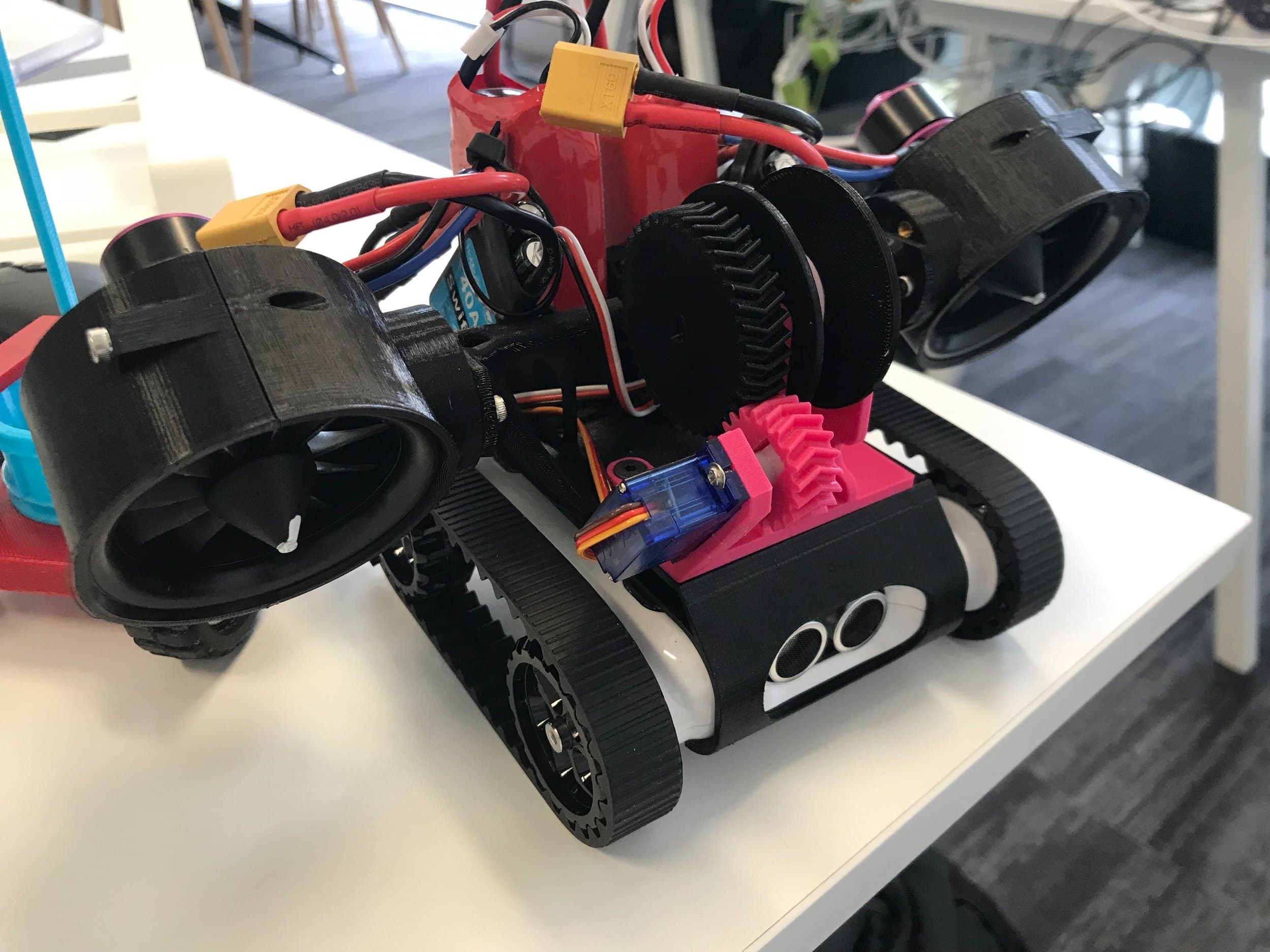 Design Blog: Fan Gecko